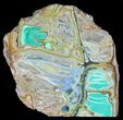 Slab Of Clay Canyon Variscite - Old Collection Stock #39160-1